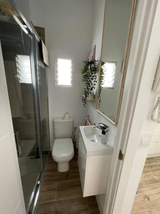 Atico Duplex Con Terraza En Pleno Centro De Jerez Leilighet Jerez de la Frontera Eksteriør bilde