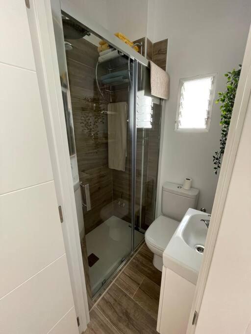 Atico Duplex Con Terraza En Pleno Centro De Jerez Leilighet Jerez de la Frontera Eksteriør bilde